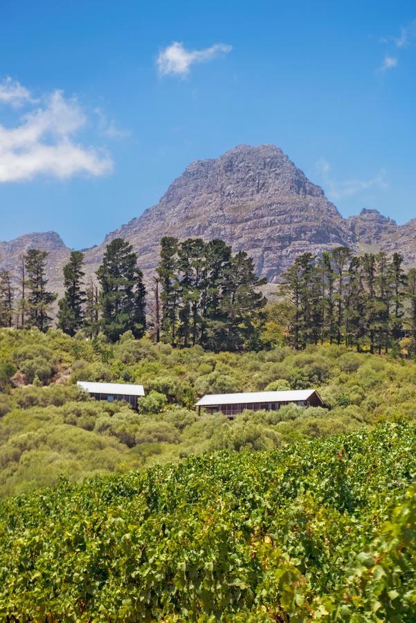Bush Lodge At Hidden Valley Wines Stellenbosch Ngoại thất bức ảnh