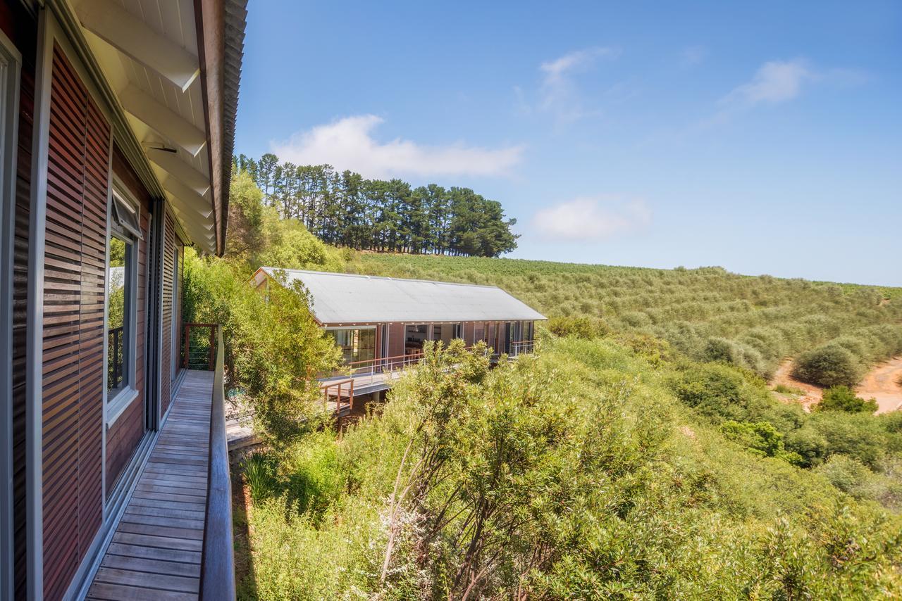 Bush Lodge At Hidden Valley Wines Stellenbosch Ngoại thất bức ảnh